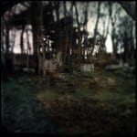 Bully's Acre